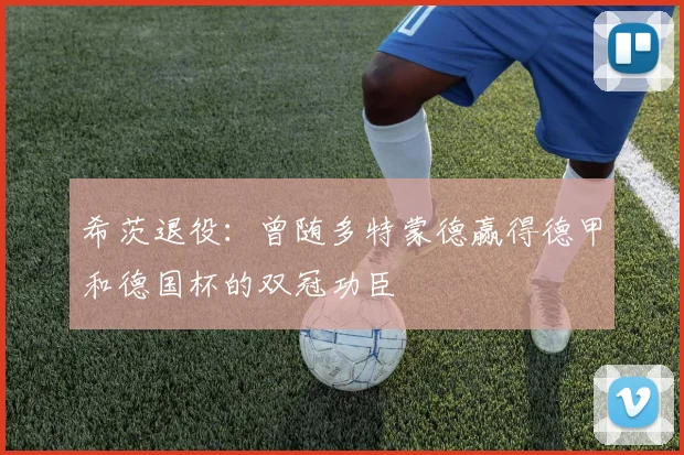 希茨退役：曾随多特蒙德赢得德甲和德国杯的双冠功臣