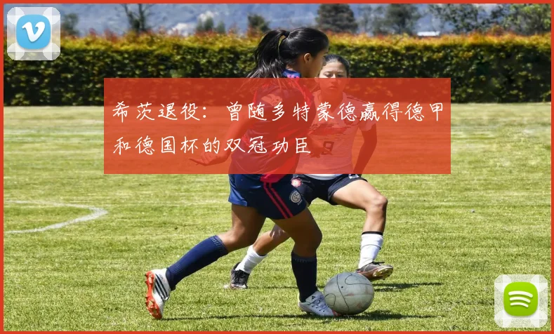 希茨退役：曾随多特蒙德赢得德甲和德国杯的双冠功臣