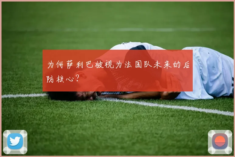 为何萨利巴被视为法国队未来的后防核心？
