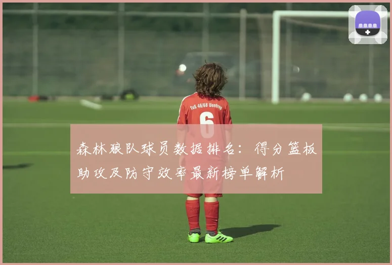 森林狼队球员数据排名：得分篮板助攻及防守效率最新榜单解析