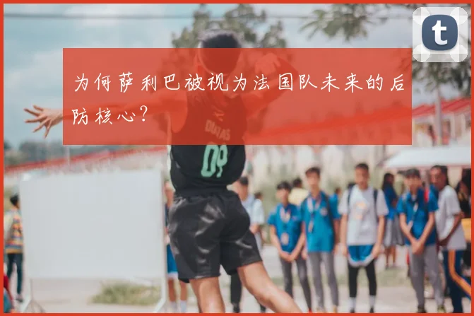 为何萨利巴被视为法国队未来的后防核心？