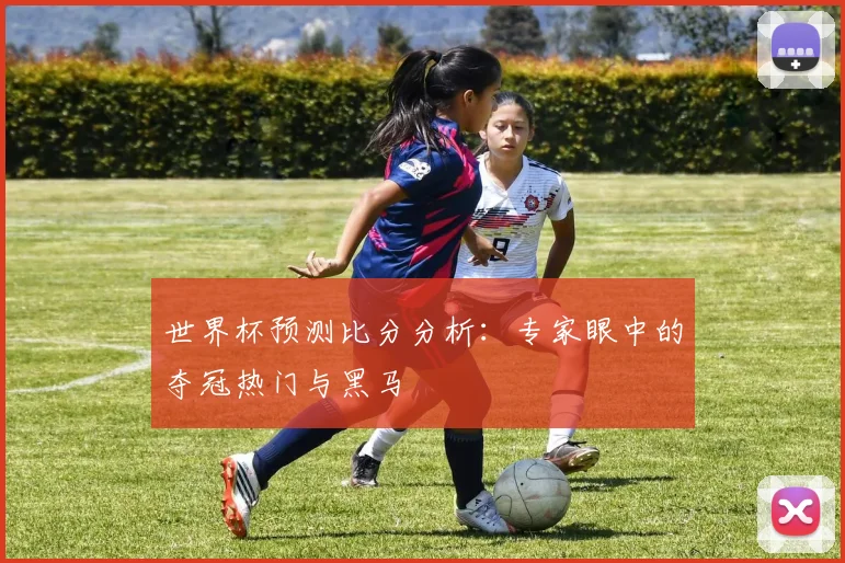 世界杯预测比分分析：专家眼中的夺冠热门与黑马